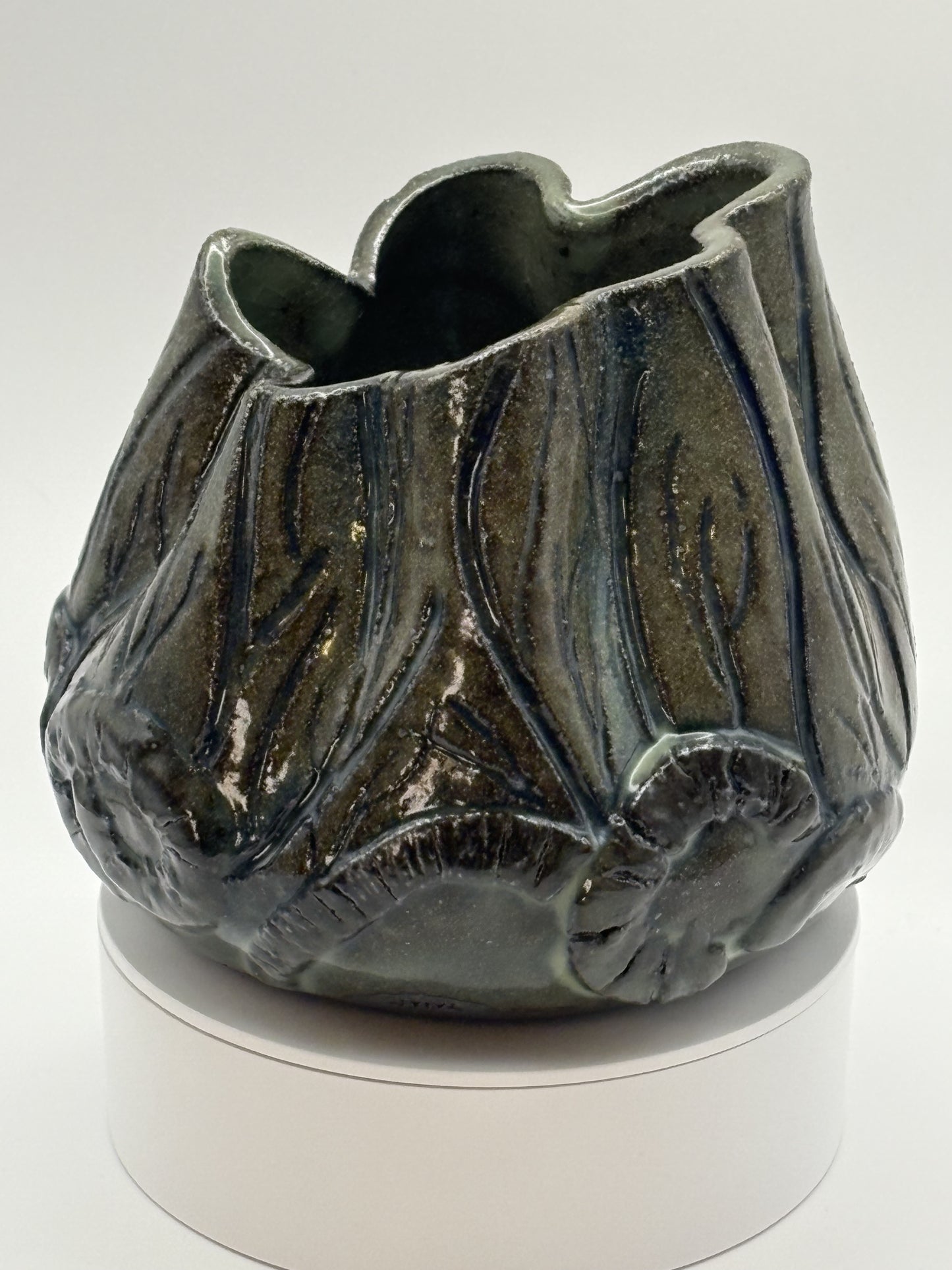 Organic vessels